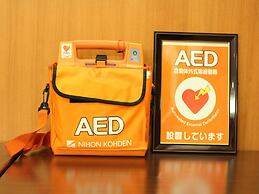 Hotel Route Inn Nago