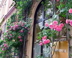Mondial Appartement Hotel