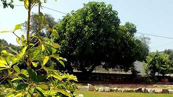 Damaskis Studios a Small Complex in Kassiopi