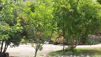 Damaskis Studios a Small Complex in Kassiopi