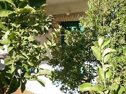 Damaskis Studios a Small Complex in Kassiopi