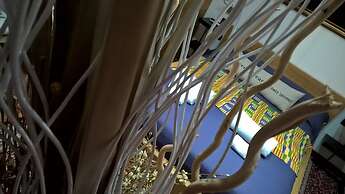 Ecolodge Coppola Guesthouse