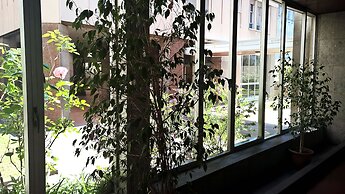 Ecolodge Coppola Guesthouse