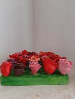 Cuscino e Cappuccino