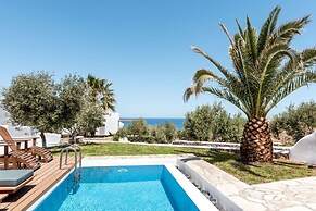 Anema Boutique Hotel & Villas Santorini