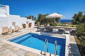 Anema Boutique Hotel & Villas Santorini