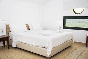 Olive Tree Apartments