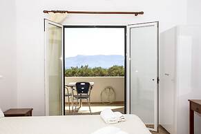 Olive Tree Apartments