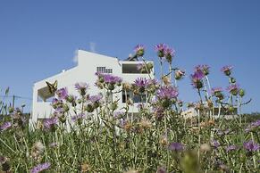 Olive Tree Apartments