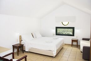 Olive Tree Apartments