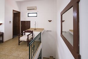 Olive Tree Apartments