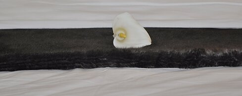 The Highlander Hotel