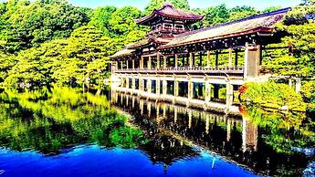 International Guest House Tani House