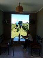 Posada Cavieres Wine Farm