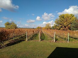 Posada Cavieres Wine Farm