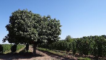 Posada Cavieres Wine Farm