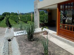 Posada Cavieres Wine Farm