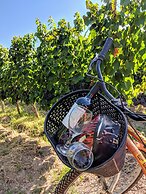 Posada Cavieres Wine Farm