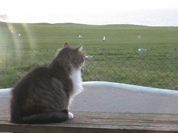 Longbeach Hotel - Adults Only