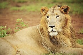 Gir Serai - IHCL SeleQtions