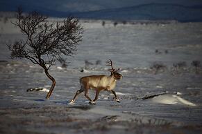 Nuorgam Holiday Village