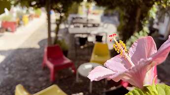 Casa do Patio by Shiadu