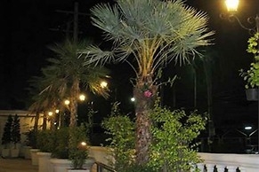 Rafael Mansion Bangkok Aiport