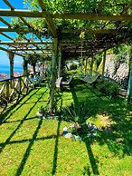 B&B Il Pavone