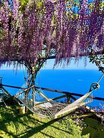 B&B Il Pavone