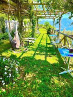 B&B Il Pavone