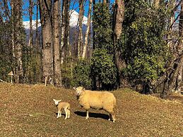 Mirador Los Volcanes Lodge & Boutique