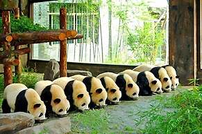 Shanghai Shahai International Hotel