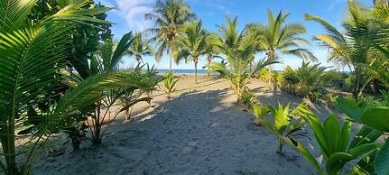 Hotel Playa Westfalia