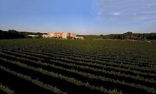 Fuente Mayor Hotel And Resort