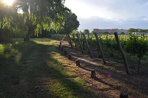 Fuente Mayor Hotel And Resort