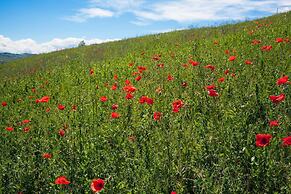 Agriturismo Il Cavicchio