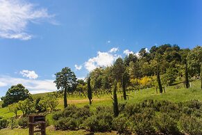 Agriturismo Il Cavicchio