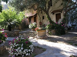 Olive Tree Cottages