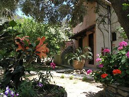 Olive Tree Cottages