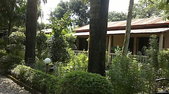 Sauraha Resort
