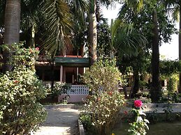 Sauraha Resort