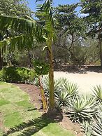 Hacienda Iguana Beach and Golf Resort