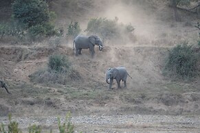 Crocodile Kruger Safari Lodge