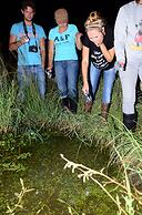 Amakhosi Safari Lodge and SPA