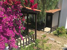 Salinas Beach Hotel Bodrum/Boutique Concept