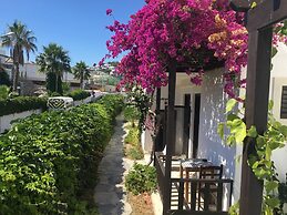 Salinas Beach Hotel Bodrum/Boutique Concept