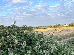 Ty Dderw Country Inn