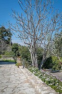 Klymeni Traditional Homes