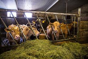 Farmhotel Efstidalur