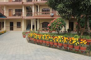 Jungle Wildlife Camp